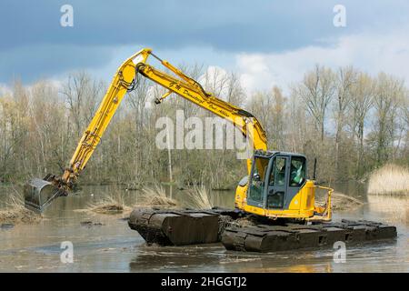 Escavatore a pala in pianura allagata, lavori di costruzione per la protezione contro le inondazioni, Belgio, Fiandre Orientali, Berlare, Berlare Broek Foto Stock