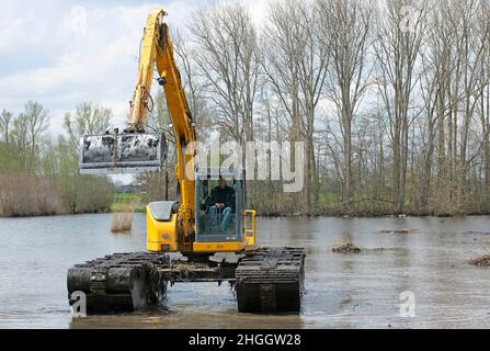 Escavatore a pala in pianura allagata, lavori di costruzione per la protezione contro le inondazioni, Belgio, Fiandre Orientali, Berlare, Berlare Broek Foto Stock