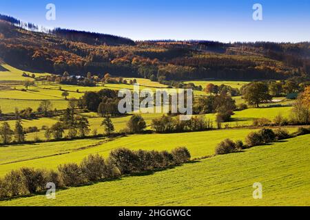 Paesaggio nei pressi di Nordhelle nella Valle di Ebbebach, Germania, Renania settentrionale-Vestfalia, Sauerland Foto Stock