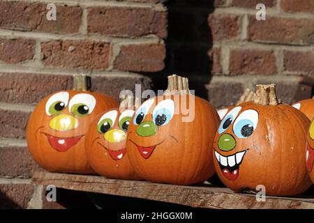 Midollo, zucca da campo (Cucurbita pepo), facce dipinte divertenti sulle zucche alimentari, Germania Foto Stock