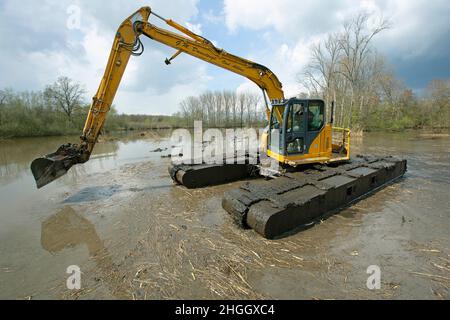 Escavatore a pala in pianura allagata, lavori di costruzione per la protezione contro le inondazioni, Belgio, Fiandre Orientali, Berlare, Berlare Broek Foto Stock