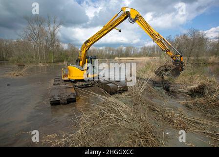 Escavatore a pala in pianura allagata, lavori di costruzione per la protezione contro le inondazioni, Belgio, Fiandre Orientali, Berlare, Berlare Broek Foto Stock