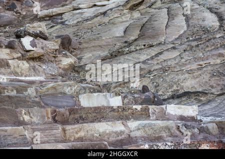 Petra Jordan, con canyon, grotte, paesaggio desertico ed edifici, tombe e altre strutture scolpite dai Nabatei secoli fa nella roccia rosa Foto Stock