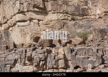 Paesaggio desertico di Wadi Rum, un canyon in Giordania con sabbia rossa e pareti di scogliera. Foto Stock