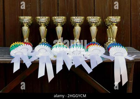 Gruppo di trofei sportivi equestri e badge rosette all'evento equestre di fila. Mucchio di trofei sportivi e badge rosette per i vincitori in mostra Foto Stock