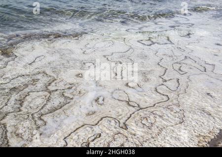 Formazioni saline nel Mar Morto in Giordania, Medio Oriente. Sale cristalli acqua salina sedimentazione al posto più basso, lago più basso sulla terra. Foto Stock