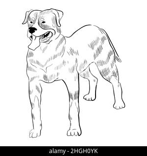 Disegno a mano del vettore della razza del cane. Illustrazione Vettoriale