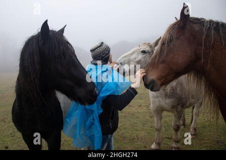 Giovane uomo circondato da tre cavalli, bianco nero e rosso . Concetto di amore per i cavalli e la natura Foto Stock
