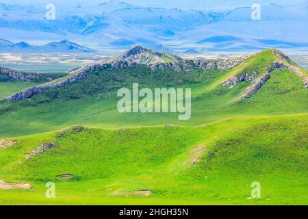 Verde prateria e paesaggio naturale di montagna in Xinjiang, China.Beautiful prateria scenario. Foto Stock