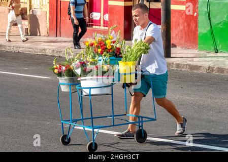 Un uomo cubano spinge un carrello pieno di fiori diversi per vendere nella Plaza de Marte. Stile di vita di persone reali Foto Stock