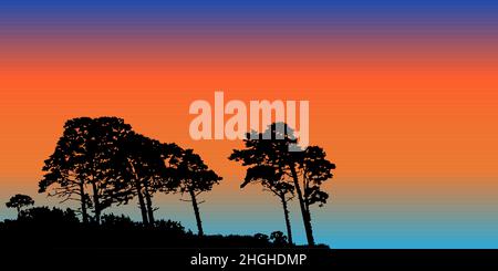 Silhouette di pini al tramonto. Paesaggio selvaggio di notte con alberi di conifere e banner sera SKY.Forest con spazio copia. Crepuscolo di natura. Vettore Illustrazione Vettoriale