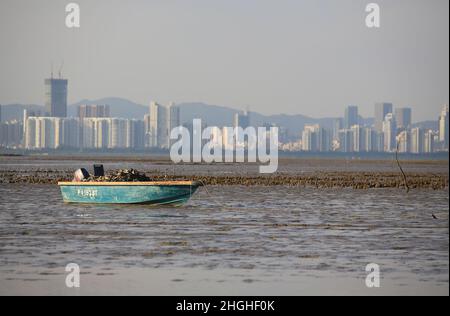 vista sul mare dello skyline di shenzhen con la barca e la spiaggia di fango da hong kong Foto Stock