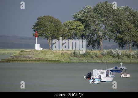 Calèche, chevaux, chasseurs et bateau dans la baie de Somme. Randonnée dans la baie. Foto Stock