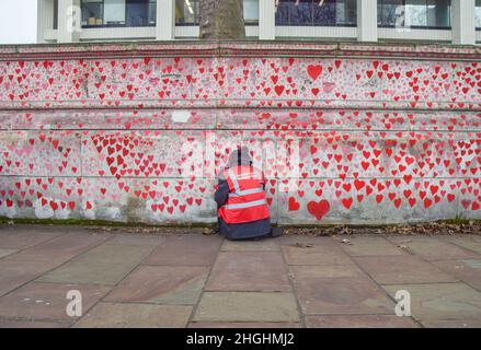 Londra, Regno Unito. 21st Jan 2022. I volontari, molti dei quali hanno perso i membri della famiglia al coronavirus, continuano a dipingere nuovi cuori e a ridipingere alcuni che si sono sbiaditi nel tempo sul National Covid Memorial Wall. Più di 150.000 cuori rossi sono stati dipinti fino ad oggi sul muro all'esterno dell'Ospedale di San Tommaso di fronte alle Case del Parlamento, uno per ogni vita persa a COVID-19, e nuovi sono aggiunti quotidianamente. Credit: Vuk Valcic/Alamy Live News Foto Stock