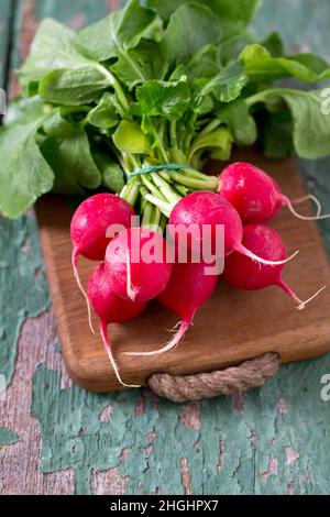 fascio di ravanelli freschi su superficie di legno Foto Stock