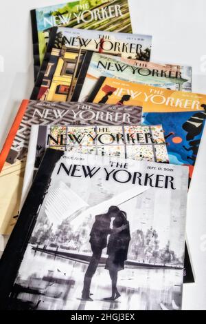 2021 copertina settimanale della rivista 'The New Yorker', USA Foto Stock