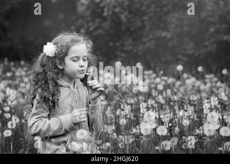 Ritratto bianco-nero, la bambina soffia un dente di leone Foto Stock