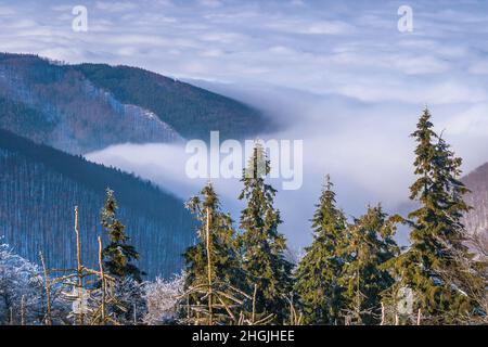 Paesaggio invernale di montagna con nebbia in valle, Pustevny, Repubblica Ceca. Foto Stock