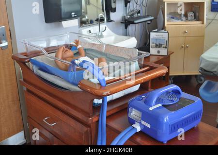 Il nuovo CuddleCot del Martin Army Community Hospital. Foto Stock