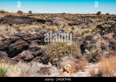 La lava indurita nera che fluiva nel bacino di Tularosa 5.000 anni fa, formando il flusso di Lava Malpais nel New Mexico, USA Foto Stock