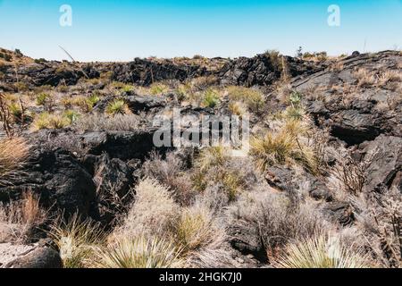 La lava indurita nera che fluiva nel bacino di Tularosa 5.000 anni fa, formando il flusso di Lava Malpais nel New Mexico, USA Foto Stock