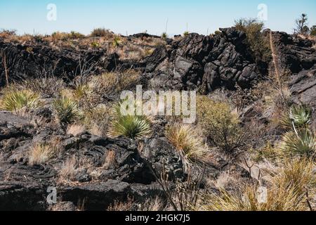 La lava indurita nera che fluiva nel bacino di Tularosa 5.000 anni fa, formando il flusso di Lava Malpais nel New Mexico, USA Foto Stock