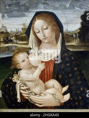 Madonna e bambino - 1520c. - tempera su tavola 45 x 30,2 cm - da Fossano Ambrogio - Bergognone - Foto Stock