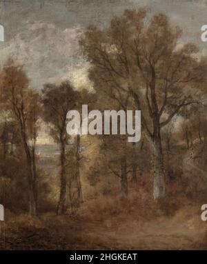 Scenario di bosco che domina Dedham vale - 1802 03c. - olio su tela 77 x 65 cm - Constable John Foto Stock