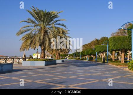 Passeggiata a piedi zona sul mare con palme e arbusti topiari. Famosa strada di Corniche in tutto il mondo ad Abu Dhabi, Emirati Arabi Uniti Foto Stock