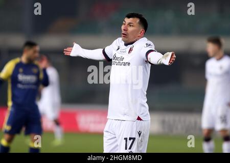 Verona, 21 gennaio 2022. Gary Medel difensore del Bologna F.C. reagisce durante la Serie A una partita di calcio tra l'Hellas Verona FC e il Bologna FC. Credit: Stefano Nicoli/Speed Media/Alamy Live News Foto Stock