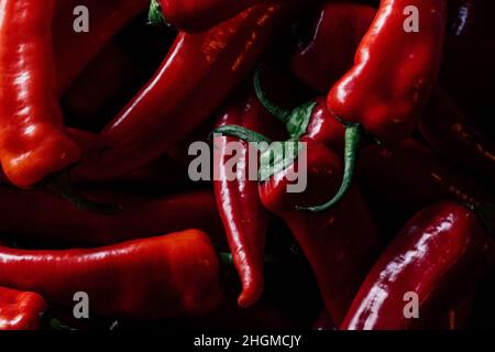 Molti peperoncini rossi ungheresi a corno di capra in un mucchio Foto Stock