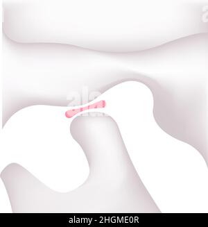 Illustrazione strutturale della mandibola dell'uomo (aperta) Illustrazione Vettoriale