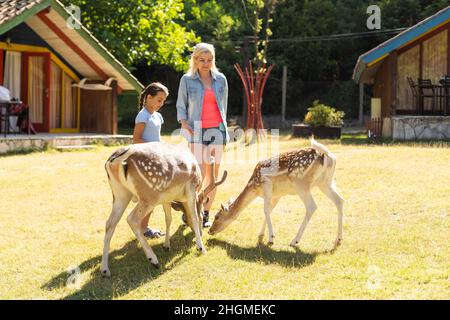 adorabile bimbo nutre cervi in fattoria. Bellissimo bambino che accarezzano gli animali nello zoo. Ragazza entusiasta e felice nel weekend di famiglia Foto Stock