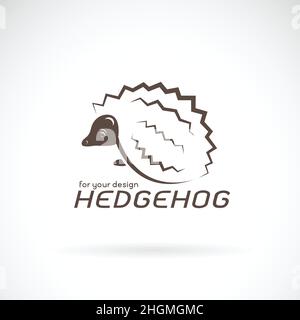 Vettore di disegno hedgehog su sfondo bianco. Animali selvatici. Logo hedgehog o icona. Illustrazione vettoriale a livelli facilmente modificabile. Illustrazione Vettoriale