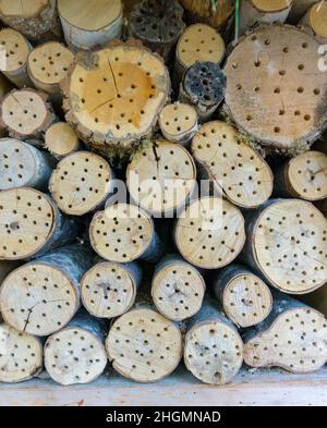 Un grande hotel di insetti composto da molti tronchi di alberi impilati Foto Stock