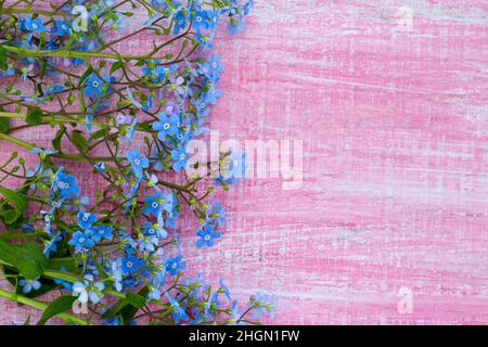 Fiori di Forgetmenot su superficie di legno Foto Stock