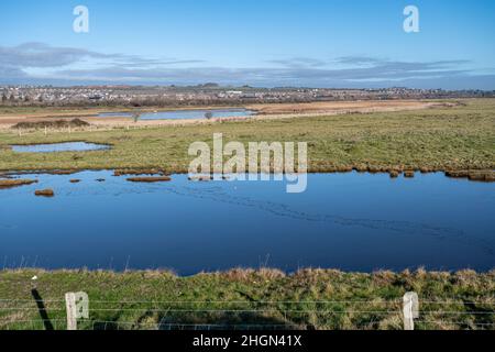 Ammira la Farlington Marshes Nature Reserve in una soleggiata giornata invernale, Hampshire, Inghilterra, Regno Unito Foto Stock