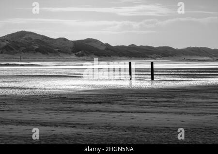 Isola di Amrum, Germania: spiaggia e dune vicino a Norddorf, immagine monocromatica Foto Stock