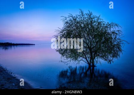 Segni di primavera su Washington Island, Door County Wisconsin. Ogni primavera questa piccola isola al largo della punta della penisola porta attrae turisti. Foto Stock