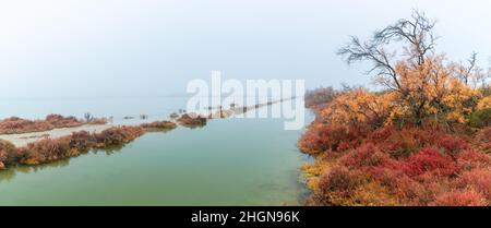 Paesaggio invernale mozzafiato nelle Badlands della Camargue Francia Foto Stock