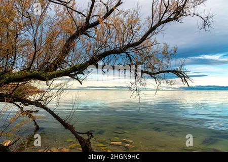 Paesaggio invernale mozzafiato nelle Badlands della Camargue Francia Foto Stock