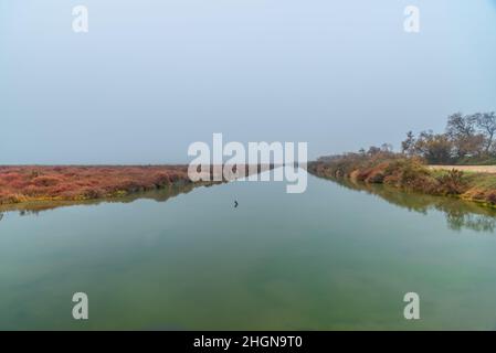 Paesaggio invernale mozzafiato nelle Badlands della Camargue Francia Foto Stock