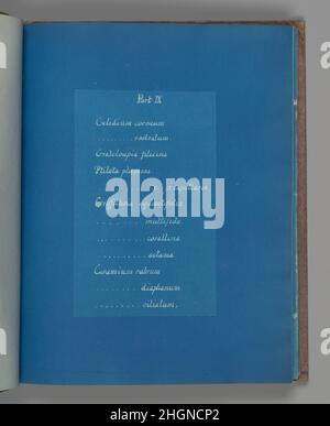 Parte IX ca. 1853 Anna Atkins inglese. Parte IX Anna Atkins (inglese, 1799–1871). CA. 1853. Cianotipo. Fotografie Foto Stock