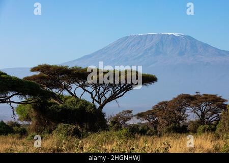 KENYA - 16 AGOSTO 2018: Monte Kilimanjaro nel Parco Nazionale di Amboseli Foto Stock