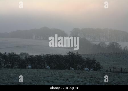 Una collina di Culter cadde a Capodanno, 2009, attraverso la valle da Woodycleuch DoD. Foto Stock