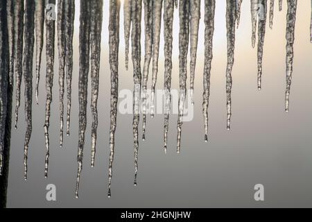 Una collina di Culter cadde a Capodanno, 2009, attraverso la valle da Woodycleuch DoD. Foto Stock