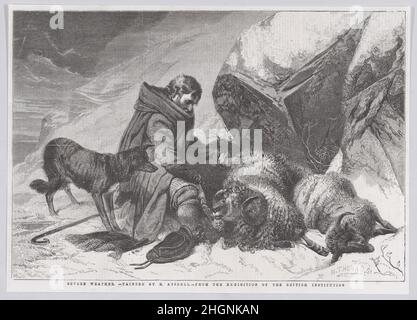 Severe Weather, da 'Illustrated London News' 22 marzo 1856 i contemporanei di William Luson Thomas Andsell ammirarono la sua capacità di dipingere animali e questa incisione in legno fu accompagnata da una revisione brillante quando il relativo lavoro fu mostrato alla British Institution di Londra nel 1856 (n. 16): 'Non c'è dubbio che il Sig. Ansdell abbia acquisito gran parte di quell'arte che lo rende così meritatamente popolare da un attento studio delle opere di Sir Edwin Landseer. Non vi è dubbio che, senza il vantaggio di un tale predecessore, sarebbe stato un grande pittore, perché guarda alla natura per ciao Foto Stock