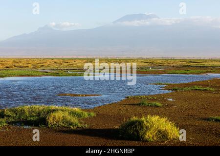 KENYA - 16 AGOSTO 2018: Monte Kilimanjaro nel Parco Nazionale di Amboseli Foto Stock