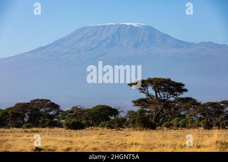 KENYA - 16 AGOSTO 2018: Monte Kilimanjaro nel Parco Nazionale di Amboseli Foto Stock