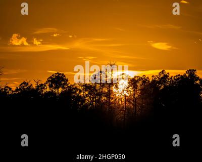 Tramonto all'area del Kirby Shorter Roadside Park della Big Cypress National Preserve in Florida USA Foto Stock